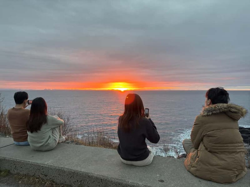 Svolvær: Lofoten Islands Full-Day Guided Tour - Key Points / Takeaways