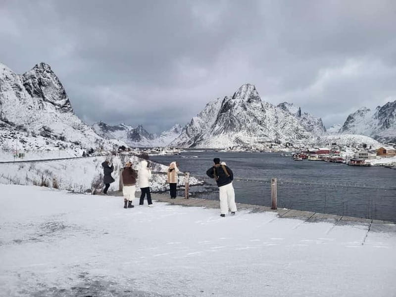 Svolvær: Lofoten Islands Full-Day Guided Tour - Final Thoughts