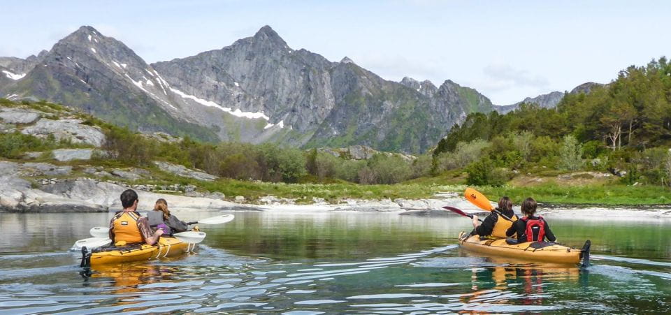 Svolvaer: Sea Kayaking Experience - Observing the Unique Flora and Fauna