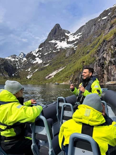 Svolvær: White-Tailed Eagle Safari with professional RIB - Key points / Takeaways