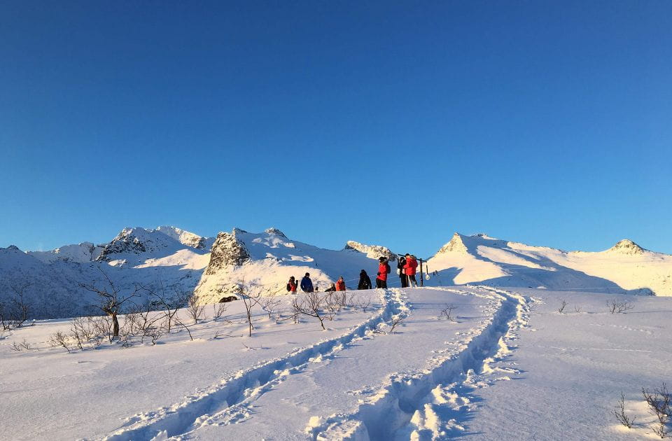 Svolværer: Snowshoe Nature Explorer - Key Points