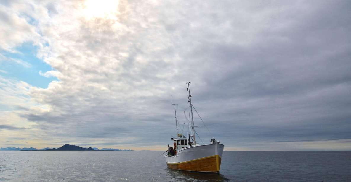 Svolvär: Fishing Trip on the Lofoten Sea - The Traditional Fishing Boat
