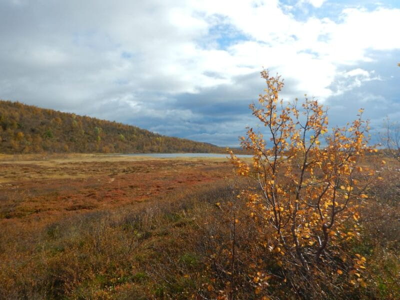 Swedish Lapland: A trekking week with helicopterflight - Final Thoughts