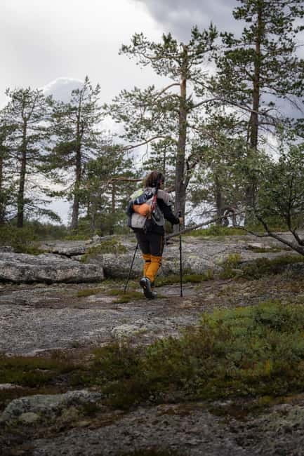 Swedish Lapland: Guided Summer Hiking Tour with Lunch - Setting the Scene: What’s the Tour About?