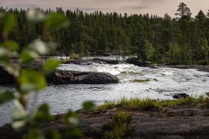 Swedish Lapland: Midnight Sun Photography Workshop - Setting the Scene: The Magic of the Midnight Sun in Swedish Lapland