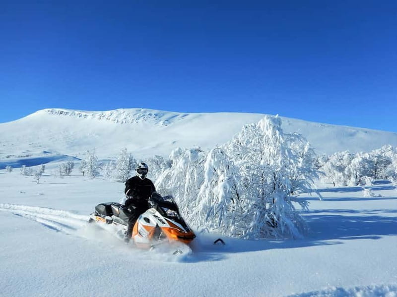 Swedish Lapland: Snowmobile safari - Climbing Nalovardo: The Highest Peak in the Region
