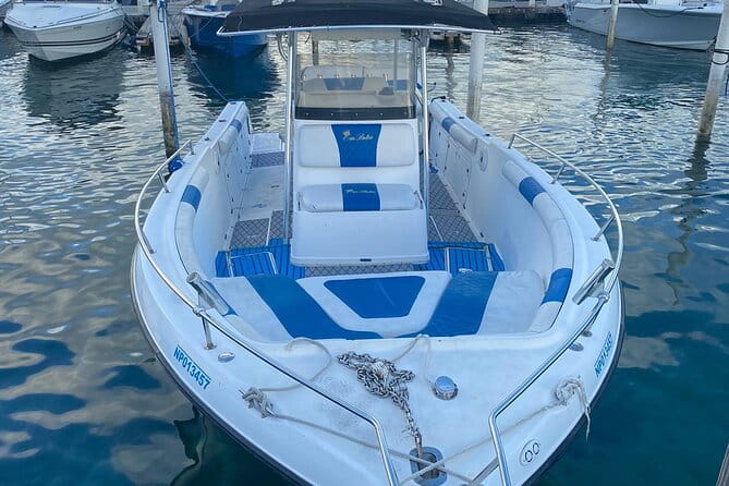 Swim With Pigs & Snorkeling With Turtles Cay Hopping in Bahamas - Inclusions