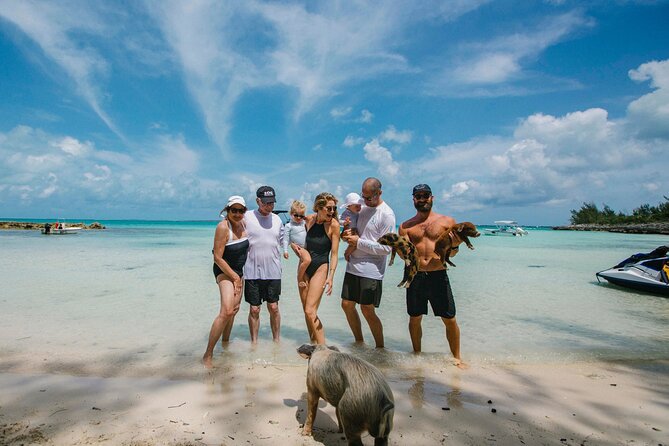 Swim With the Pigs! Half Day Harbour Island Private Boat Tour - Exploring Harbour Island