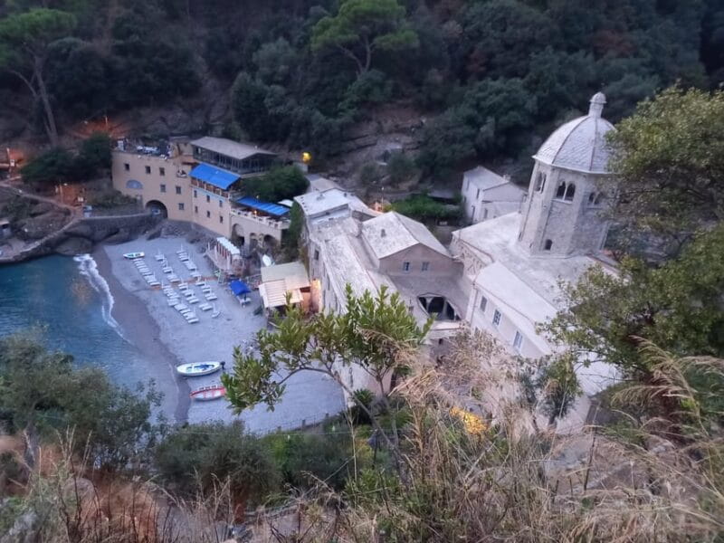 Swimming Cetacea Private Tour Boat Genova Portofino - Key points / Takeaways