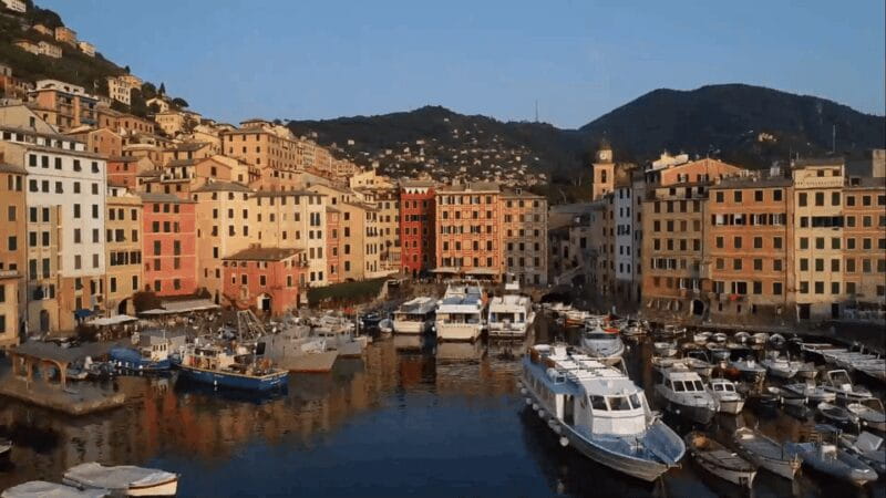 Swimming Cetacea Private Tour Boat Genova Portofino - FAQ