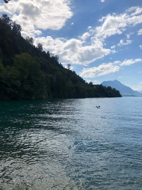 Swiss Highlights: Guided Zürich, Lucerne, Basel & Bern tour - Key Points / Takeaways