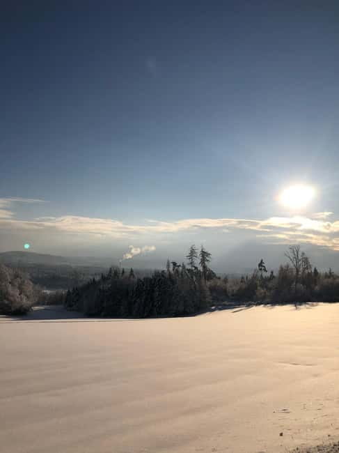 Swiss Highlights: Guided Zürich, Lucerne, Basel & Bern tour - Basel: Switzerland’s Artistic Hub