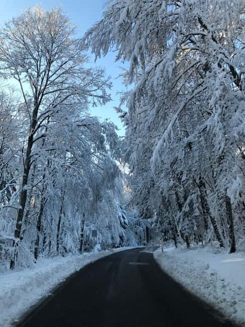 Swiss Highlights: Guided Zürich, Lucerne, Basel & Bern tour - Returning to Zürich: Wrapping Up the Day