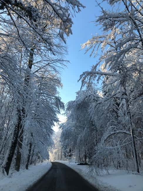 Swiss Highlights: Guided Zürich, Lucerne, Basel & Bern tour - Price and Value Analysis