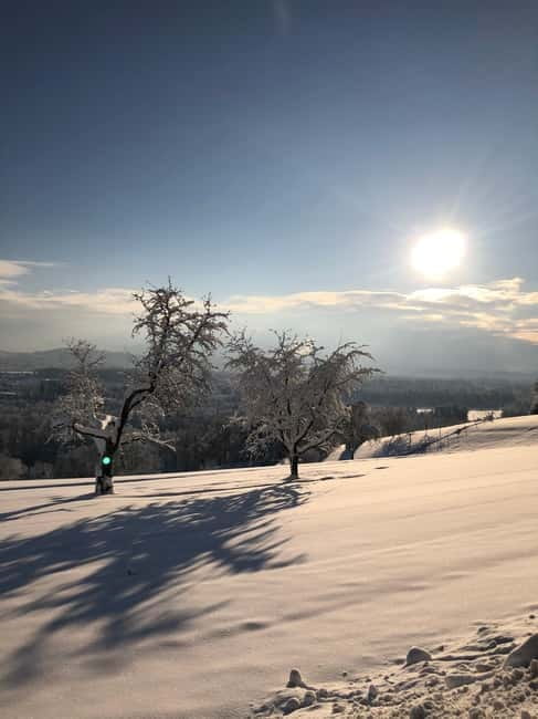 Swiss Highlights: Guided Zürich, Lucerne, Basel & Bern tour - Frequently Asked Questions