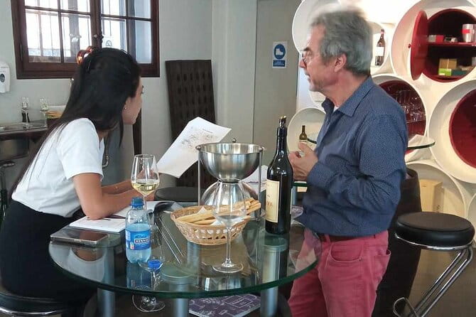 Swiss Vineyard Wine Tasting Tour in Vaud - Key Points / Takeaways