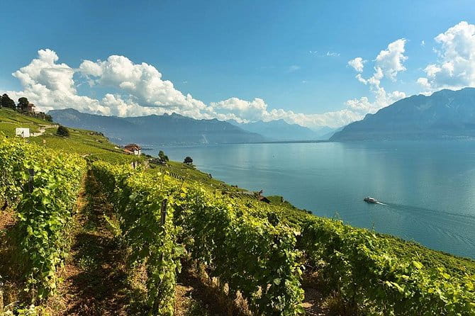 Swiss Wine Tasting at Lavaux Vineyards: Private Trip from Geneva - Entering The Lavaux Vineyards