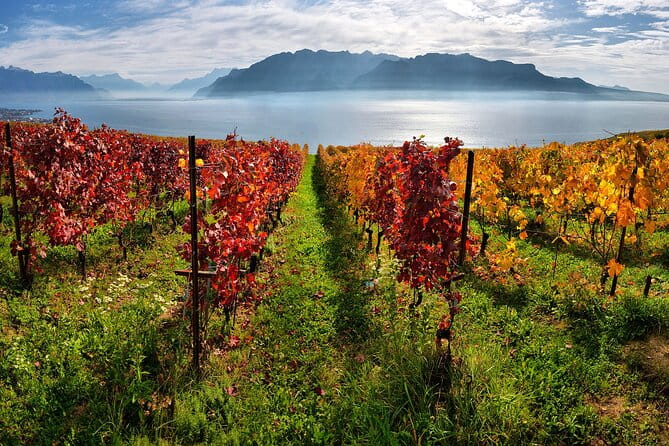 Swiss Wine Tasting at Lavaux Vineyards: Private Trip from Geneva - FAQs