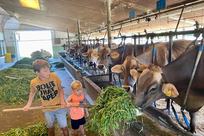 Switzerland Picturebook Private Tour: Farm, Villages, & Mountains - Exploring the Charm of Appenzell