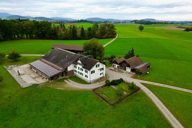 Switzerland Picturebook Private Tour: Farm, Villages, & Mountains - The Sum Up