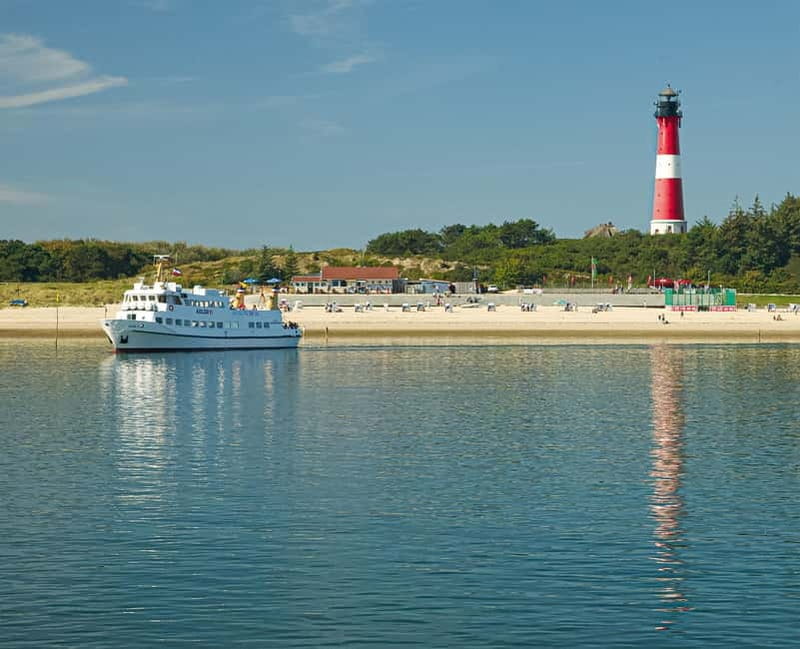 Sylt: Boat tour - afternoon cruise | coffee & cake available - What to Expect: A Detailed Look at the Experience