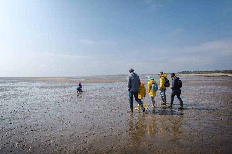 Sylt: Guided Mudflat Hike on the Island - What to Expect on the Mudflat Hike