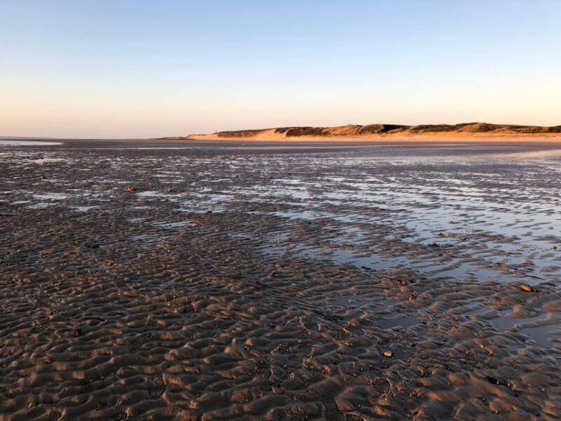 Sylt: Guided Mudflat Hike on the Island - Why This Experience Offers Great Value
