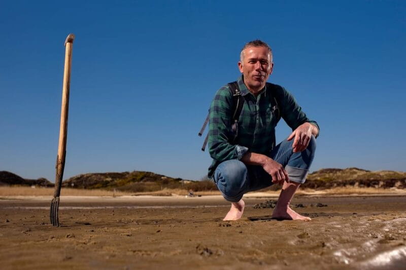 Sylt: Guided Mudflat Hike on the Island - Practical Details and Tips