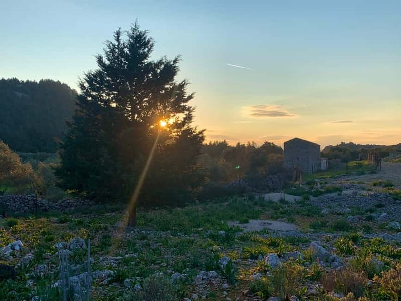 Symi: Sunset Tour with E-Bikes - Final Thoughts: Is This Tour for You?