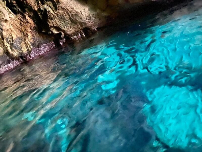 Syracuse: Boat Trip of Ortigia Island and Sea Caves - Price and Logistics