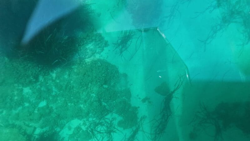 Syracuse: Coast and Sea Caves Full Transparent Boat Tour - Who Is This Tour Best For?