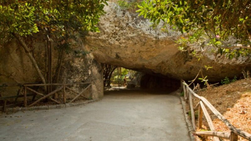 Syracuse: Neapolis and Greek Theater guided tour - Who Would Love This Tour?