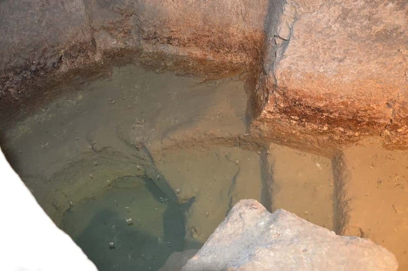 Syracuse: Ortigia and Neapolis Guided Walking Tour - Price and Practicalities