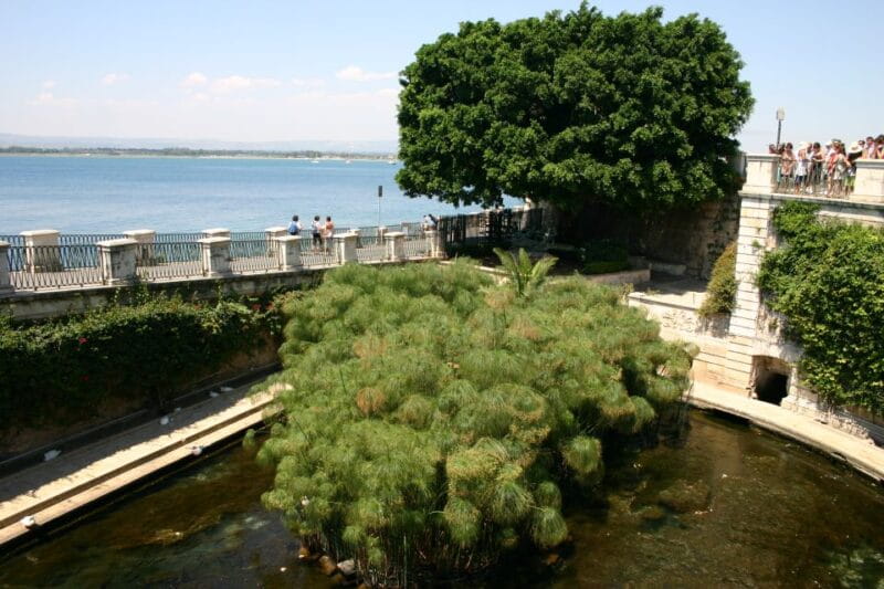 Syracuse: Ortigia Private Walking Tour - The Jewish Quarter and Noble Residences