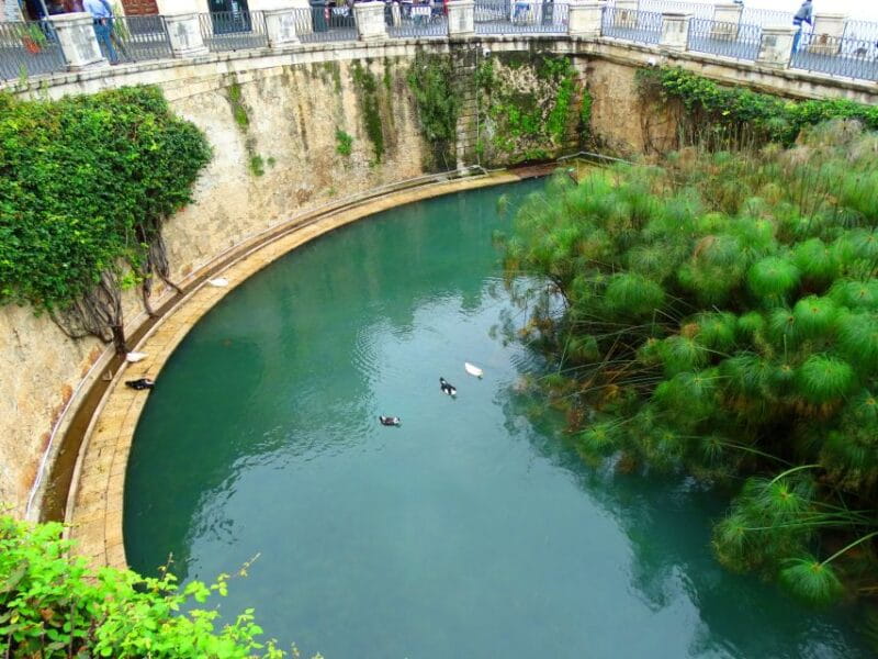 Syracuse: Ortygia & Neapolis Archaeological Park Guided Tour - The Sum Up