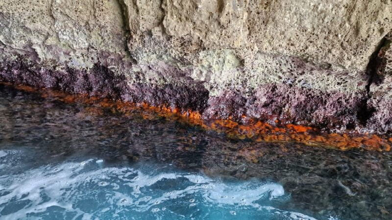 Syracuse: Picnic boat tour of Pillirina, Ortigia & sea caves - Key Points / Takeaways