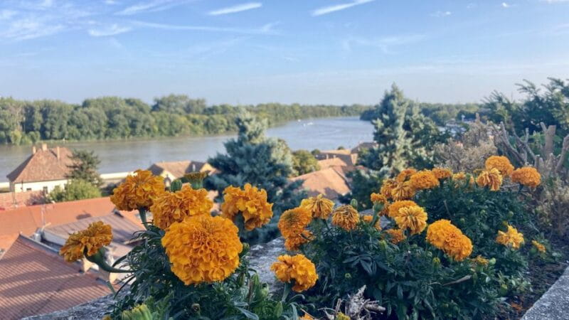 Szentendre: Arts and Cafés Tour (Half-Day Private Tour) - Exploring Szentendre: An Artful Escape from Budapest