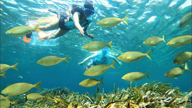 Tabarca Island: Guided Snorkel Excursion - Exploring the Underwater World of Tabarca Island: A Guided Snorkel Experience