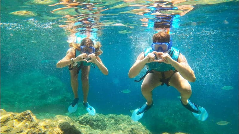 Tabarca Island: Guided Snorkel Excursion - Key Points / Takeaways