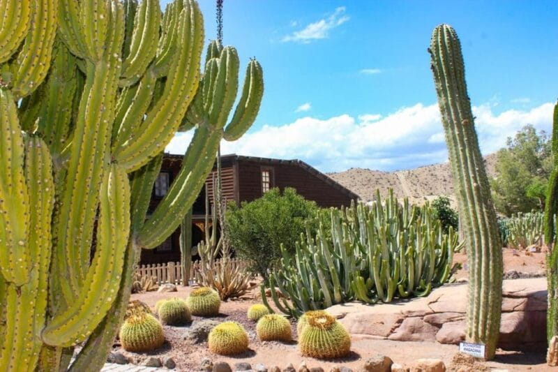 Tabernas: MiniHollywood Oasys Entry Ticket & Optional Buffet - Key points / Takeaways