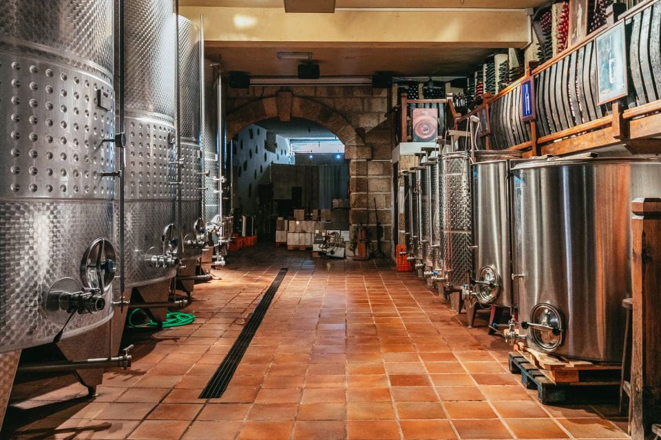 Tacoronte: Guided Winery Tour With Wine and Cheese Tastings - Customer Experiences