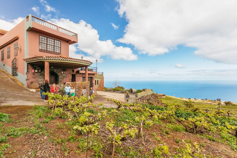 Tacoronte: Guided Winery Tour With Wine and Cheese Tastings - Unique Features of Canary Wine