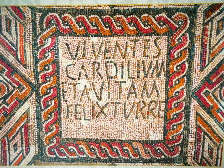 Tagus River & Ancient Production: Olive Oil, Wine and Horses - Wine and Olive Oil Tasting