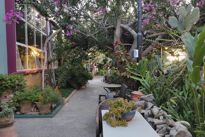 Tailor-Made Private Shore Excursion: Discover Chania Your Way - Who Should Book This Tour?