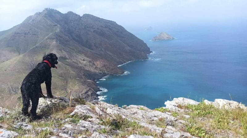 Tailored Trek: Your adventure, Your Way - Final Thoughts