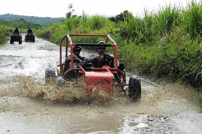 Taino Bay Shore Excursion - 2 Person Buggy Tour - Activity Details