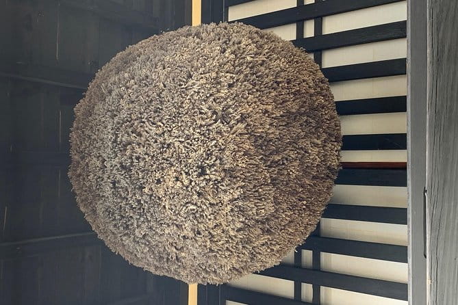 Takayama Walking Tour & Hida Folk Village - Participant Feedback and Response