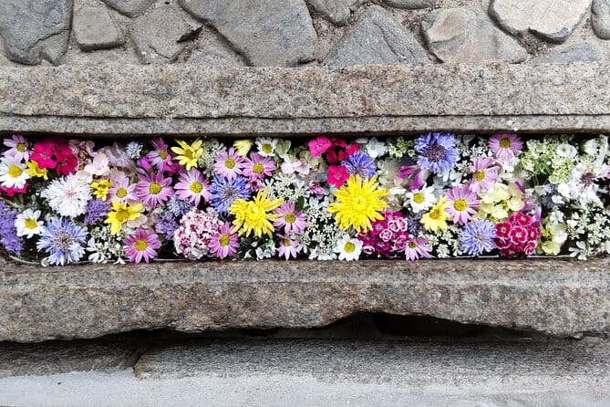 Take a Stroll Back in Time at Takehara, Hiroshimas Little Kyoto - Booking Information and Availability