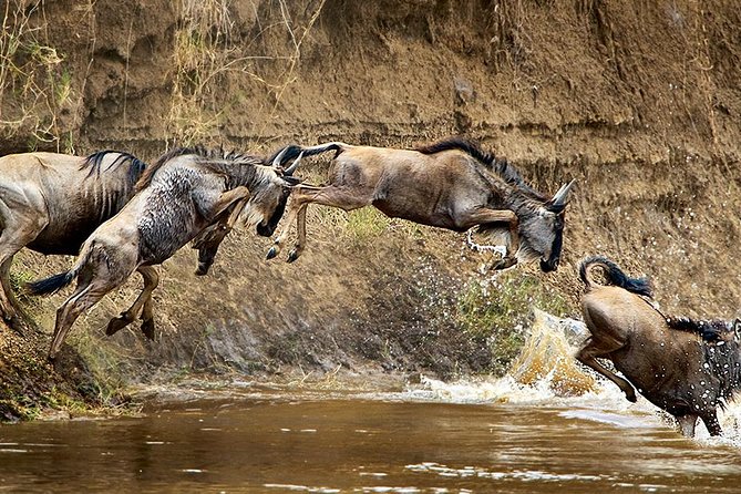 Take Me to Tarangire and Ngorongoro -3 Days - Lake Manyara National Park