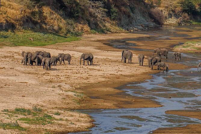 Take Me to Tarangire and Ngorongoro -3 Days - Departure